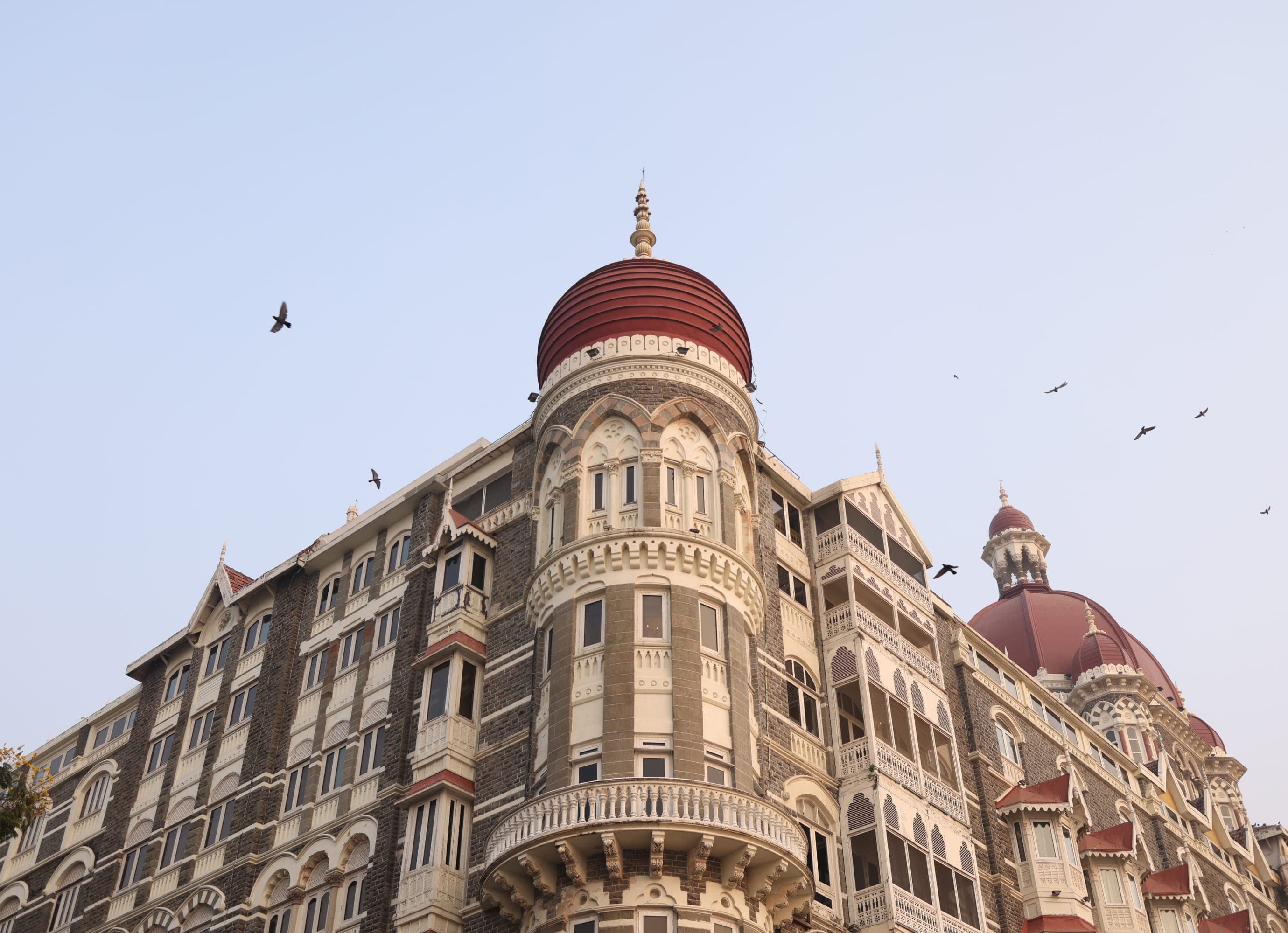 projects/taj/image_1