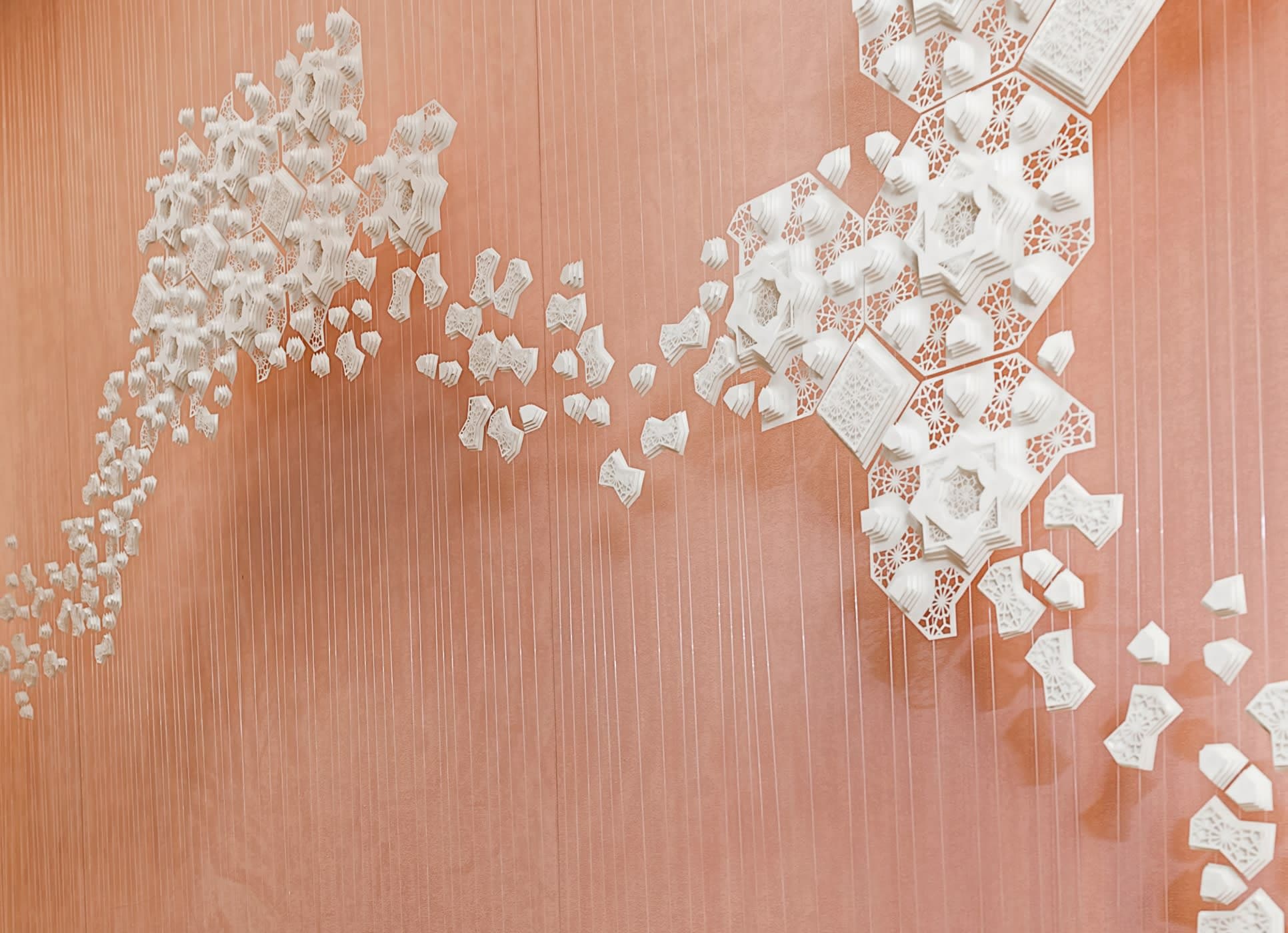 projects/nirav-modi/image_1